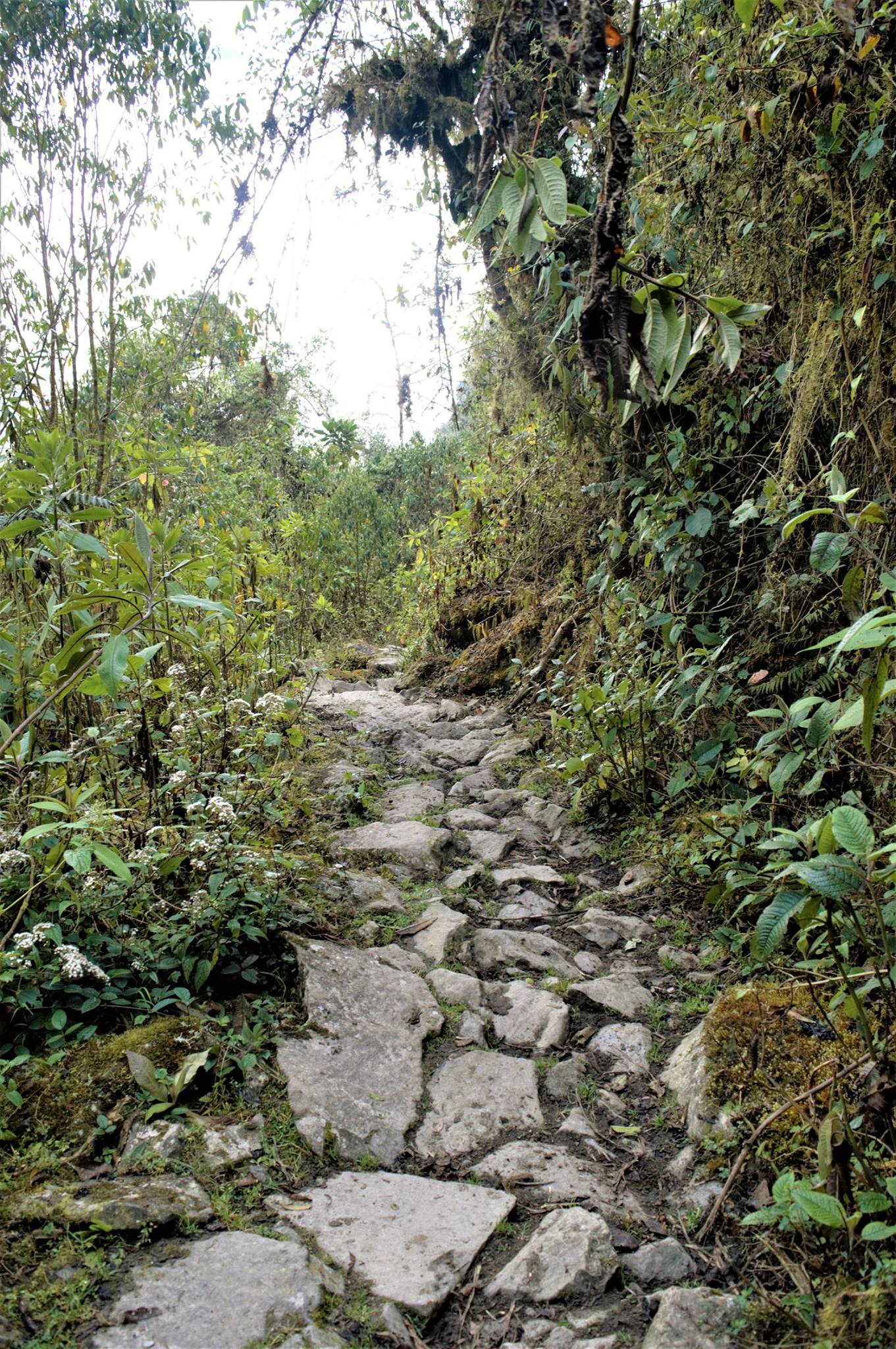 Route inca (district de Chungui)