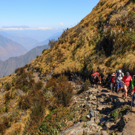 Trek Choquequirao Machu Picchu