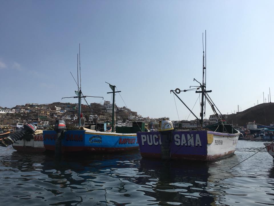 Bateaux de pêche à Pucusana